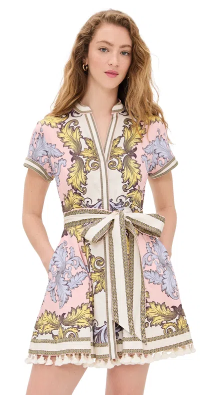Alice And Olivia Alice + Olivia Lucy Cotton Mini Dress In Multicolour