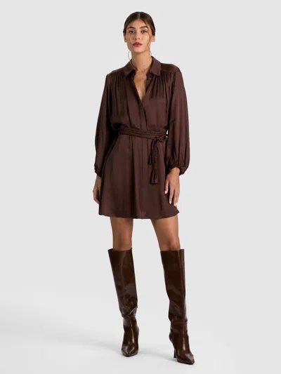 Alice And Olivia Margaux Tie Front Mini Dress In Dark Chocolate