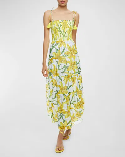 Alice And Olivia Marna Embroidered Tiered Tie-strap Maxi Dress In Stargazer Multi Lg