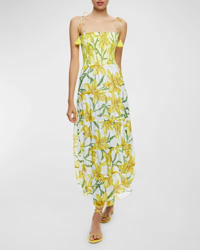 Alice And Olivia Marna Embroidered Tiered Tie-strap Maxi Dress In Stargazer  Multicolor | ModeSens