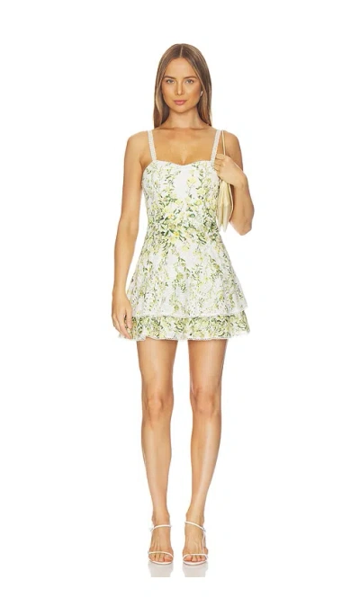 Alice And Olivia Meredith Sweetheart Drop Ruffle Flare Mini Dress In Multi