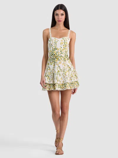 Alice And Olivia Meredith Sweetheart Drop Ruffle Flare Mini Dress In Multi