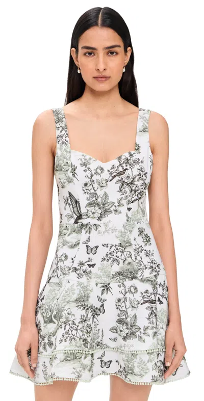 Alice And Olivia Miriam Sweetheart Drop Waist Tiered Mini Dress Daybreak