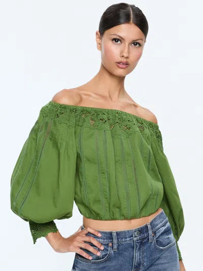 Alice And Olivia Nan Embroidered Off The Shoulder Blouse