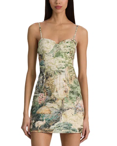 Alice And Olivia Nila Seamed Corset Mini Dress In Multi