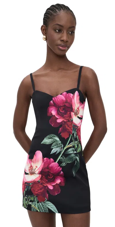 Alice And Olivia Nina Sweetheart Spaghetti Strap Mini Dress Empress Bloom Black In Multi