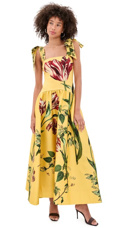 Alice And Olivia Oriana Tie Strap Drop Waist Midi Dress Soft Tulip Tuscany In Yellow