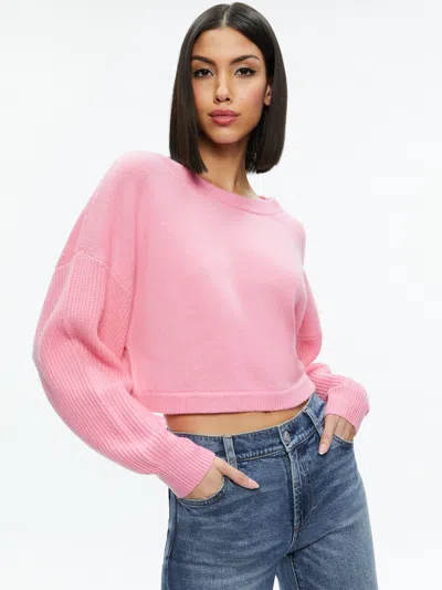 Alice And Olivia Posey Crewneck Sweater In Cherry Blossom