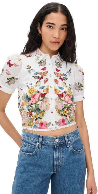 Alice And Olivia Rosie Embroidered Puff Sleeve Cropped Button Down Blouse Solar Strength Off White In Multi