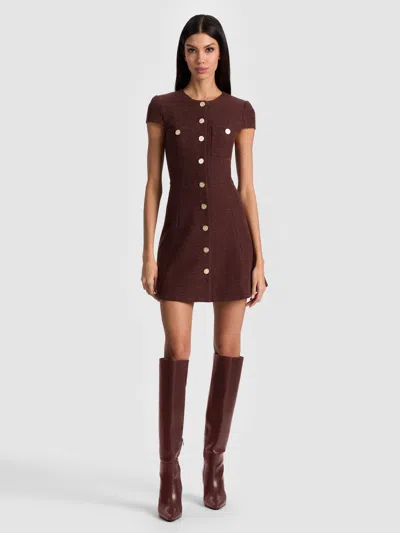 Alice And Olivia Shiloh Mini Dress In Brown