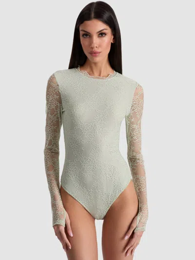 Alice And Olivia Taeyn Lace Bodysuit In Green