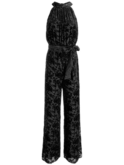 Alice And Olivia Thelma Halter Neck Jumpsuit In Romance Black