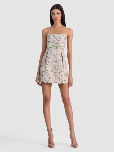 Alice And Olivia True Babydoll Dress In Neutral