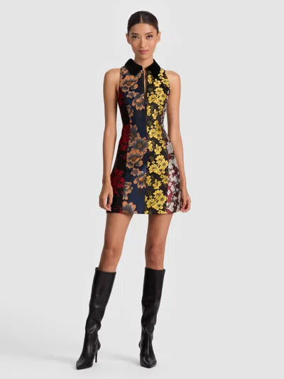 Alice And Olivia Velia Collared Mini Dress In Black