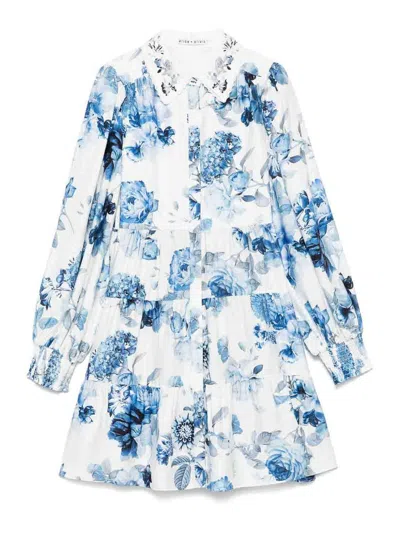 Alice And Olivia Junia Printed Mini Dress In Blue