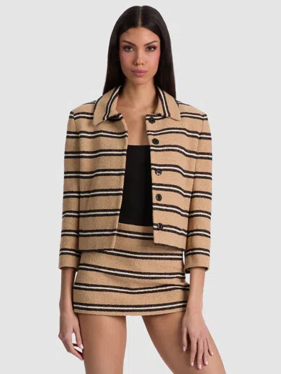 Alice And Olivia Weston Cropped Jacket In Brown