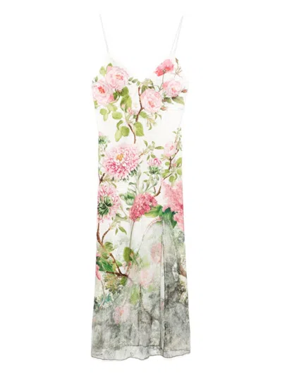 Alice And Olivia Alice + Olivia Printed Midi Dress In Rose Whisper