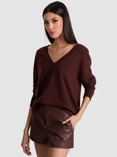 Alice And Olivia Williams Pullover In Brown