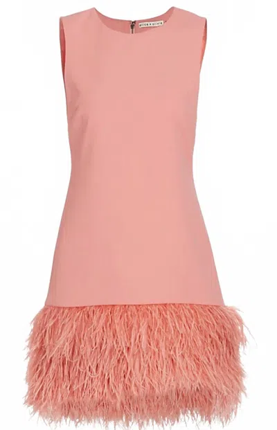 Alice And Olivia Women's Coley Feather Trim Crew Neck Dress In Rose In Pink