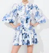 Alice And Olivia Junia Printed Mini Dress In Blue