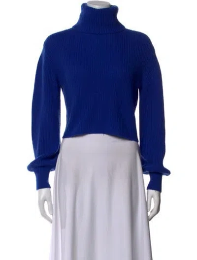 Pre-owned Alice And Olivia Wool Turtleneck Sweater In Blue