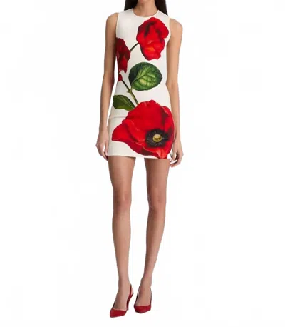 Alice And Olivia Wynell Fitted Mini Dress In Summer Poppy In Multi