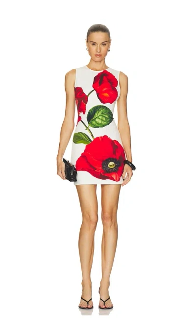 Alice And Olivia Wynell Fitted Mini Dress Summer Poppy In Black