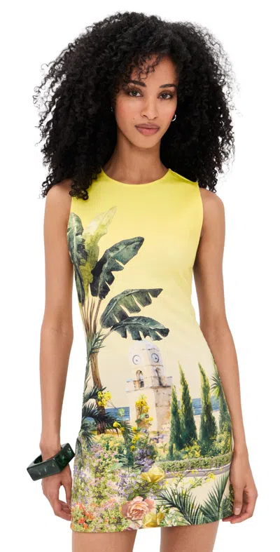 Alice And Olivia Wynell Fitted Mini Dress Pure Paradise In Multi