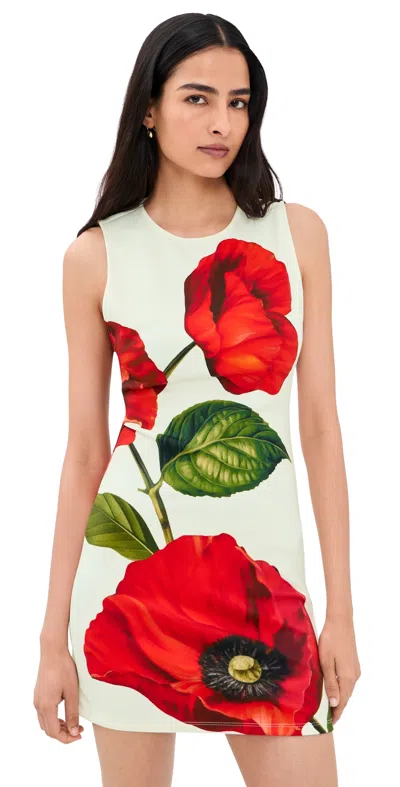 Alice And Olivia Wynell Fitted Mini Dress Summer Poppy In Black