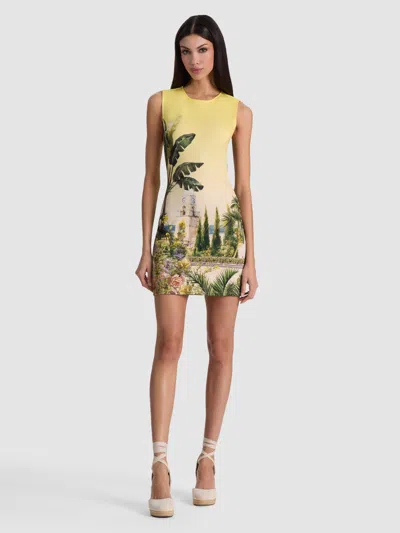 Alice And Olivia Wynell Fitted Mini Dress In Multi