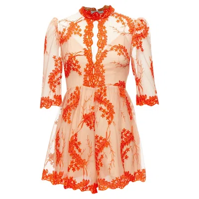 Alice Mccall Honeymoon Lace Nude Sheer Overlay Lined Romper In Orange