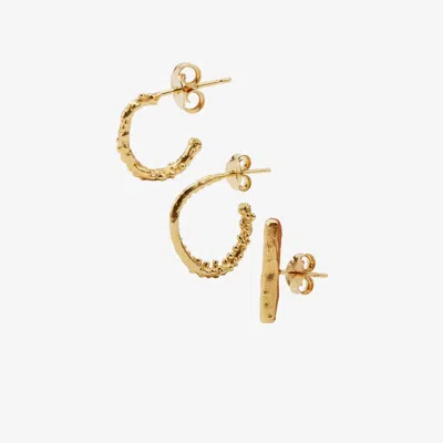 Alighieri Gold-plated The Starry Night Earring Set