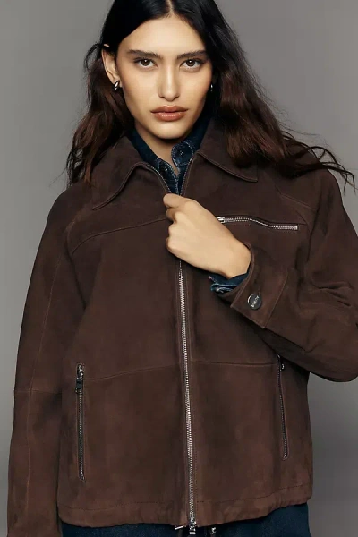 Aligne Alex Suede Bomber Jacket In Brown