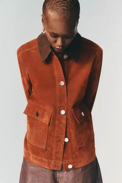 Aligne Bark Flock Cotton Stretch Jacket In Brown