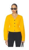 Aligne Doyer Ponte Top In Yellow