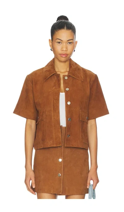 Aligne Jane Suede Shirt In Brown