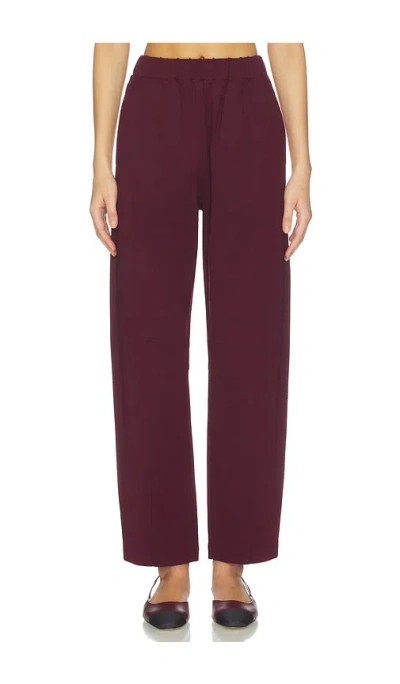 Aligne Markus Ponte Trouser In Burgundy