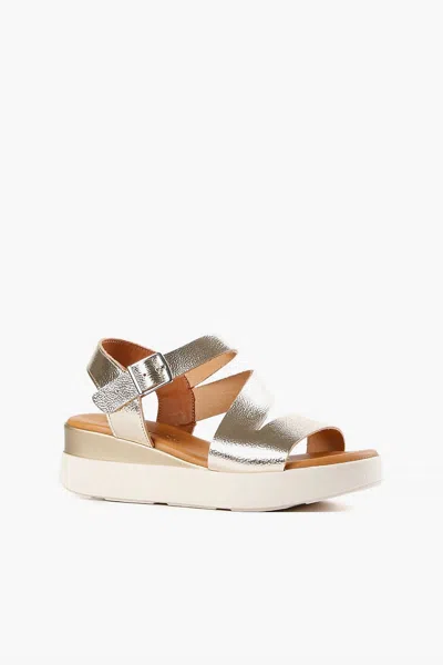 All Black Women's Buckle Lady Platform Sandal In Gold