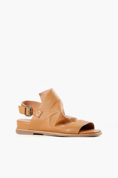 All Black Women's Cover Up Softly 2 Ankle Strap Flats Sandal With A Buckle In Tan In Multi