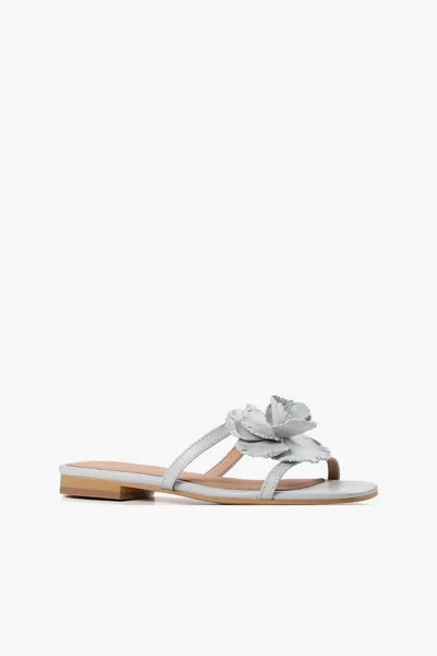 All Black Women's Flower Slides In Blue