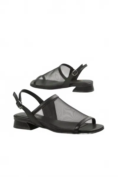 All Black Women's Sheer Beauty Sandals In Black