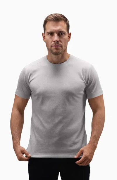 All Citizens Titan T Shirt In Gray