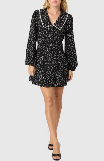All In Favor All In Animal Print