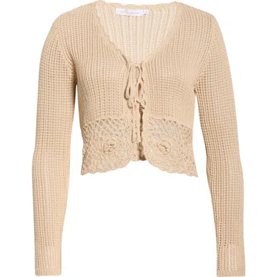 All In Favor All In Brown