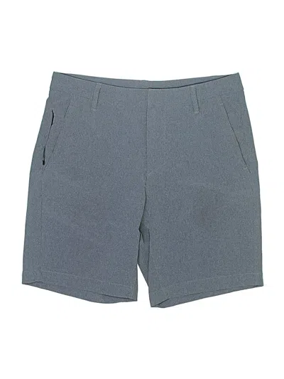 Pre-owned All In Motion Shorts In Gray