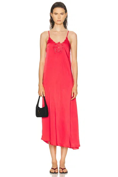 All That Remains Rose Dress In Orange