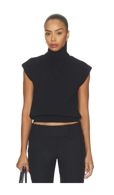 All The Ways Elisha Turtleneck Top In Black