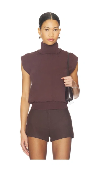 All The Ways Elisha Turtleneck Top In Brown