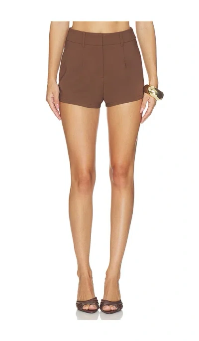 All The Ways Harlem Short In Brown