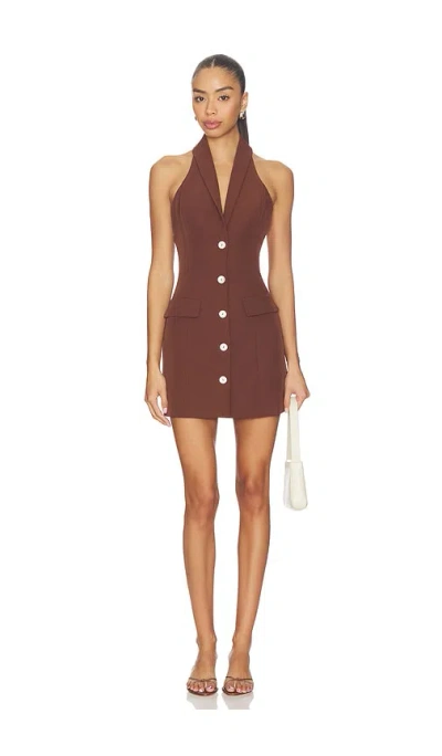 All The Ways Indiana Mini Dress In Brown